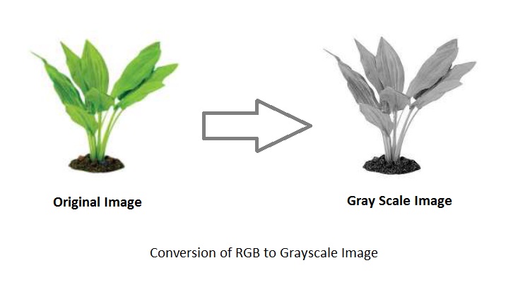 RGB to GrayScale Image Conversion