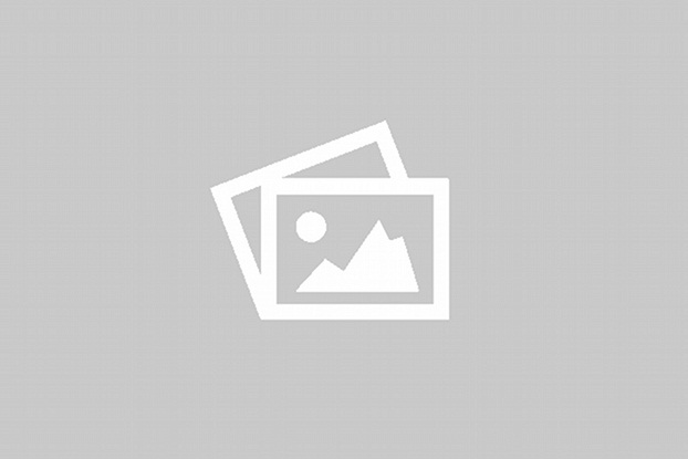 Your uploaded image will display here ...